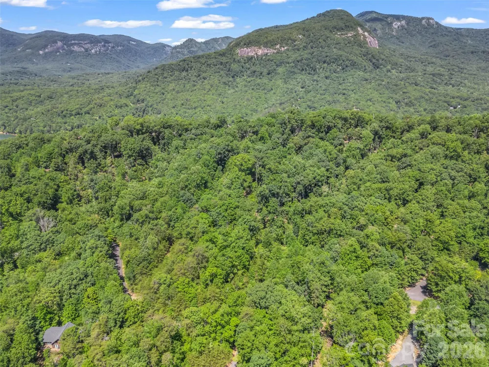 0 Hawks Nest Trail #31 Lake Lure, NC 28746