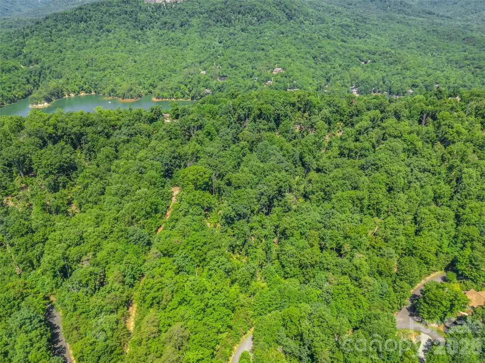 0 Hawks Nest Trail #31 Lake Lure, NC 28746