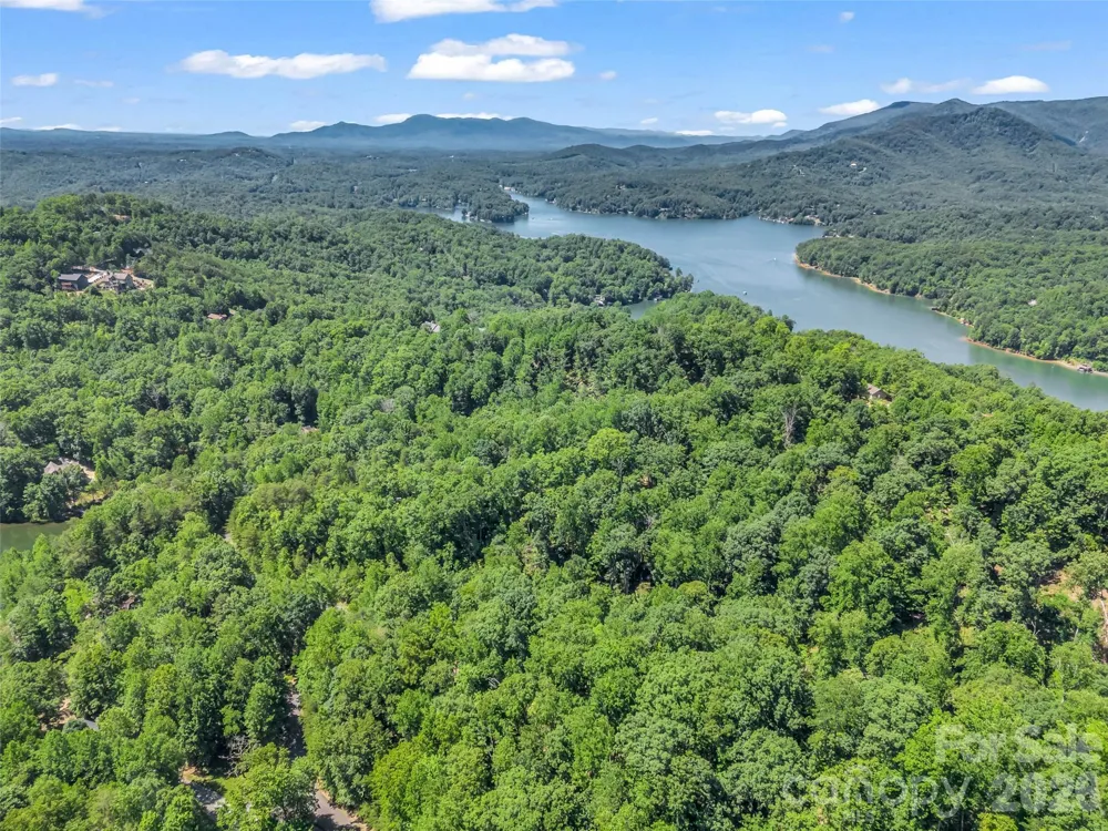 0 Hawks Nest Trail #31 Lake Lure, NC 28746