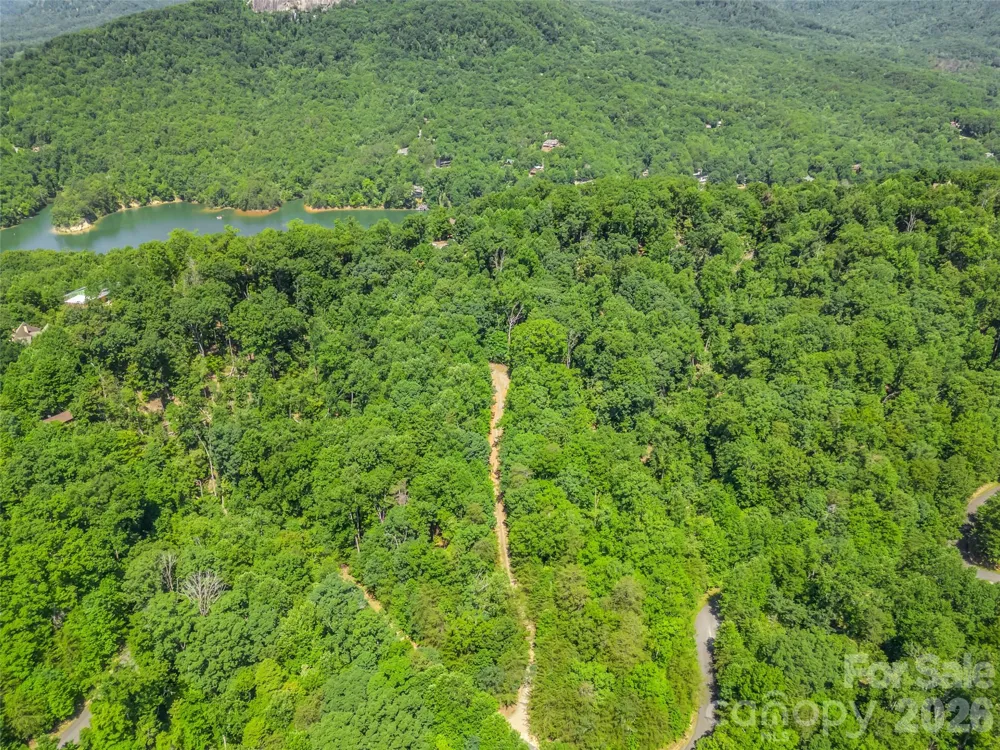 0 Hawks Nest Trail #31 Lake Lure, NC 28746