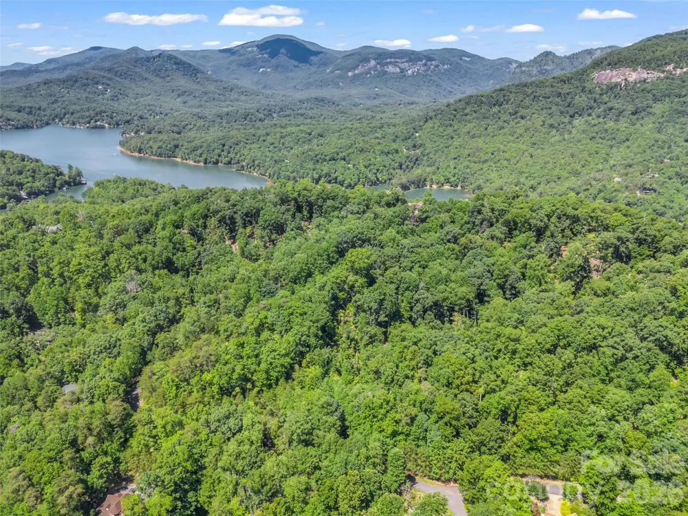 0 Hawks Nest Trail #31 Lake Lure, NC 28746