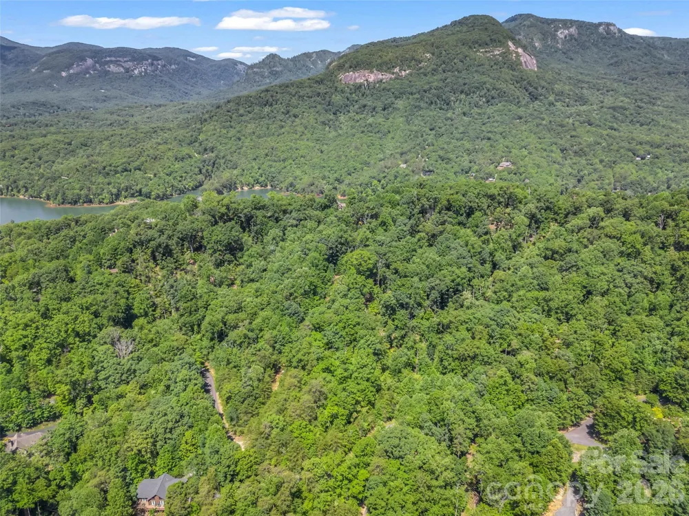 0 Hawks Nest Trail #31 Lake Lure, NC 28746