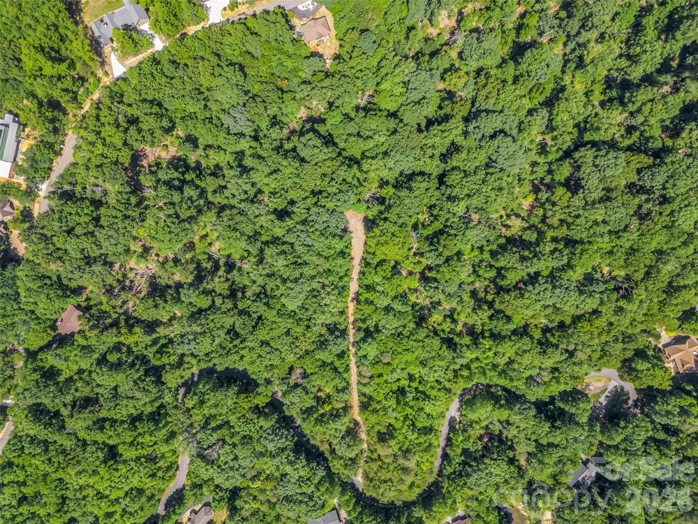 0 Hawks Nest Trail #31 Lake Lure, NC 28746