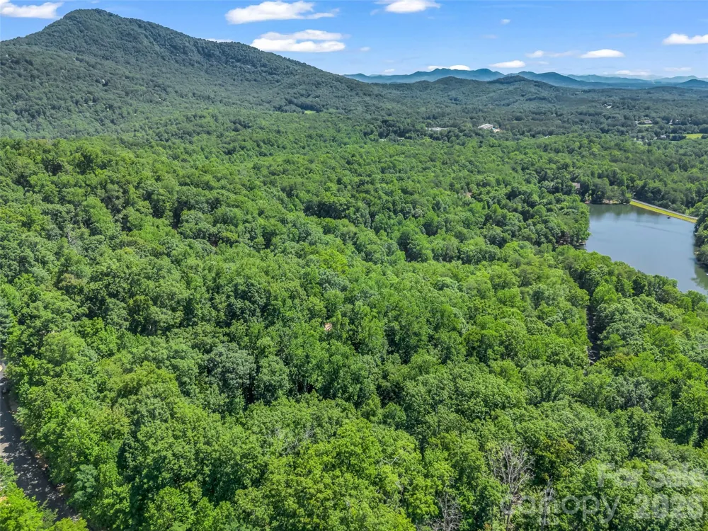 0 Hawks Nest Trail #31 Lake Lure, NC 28746
