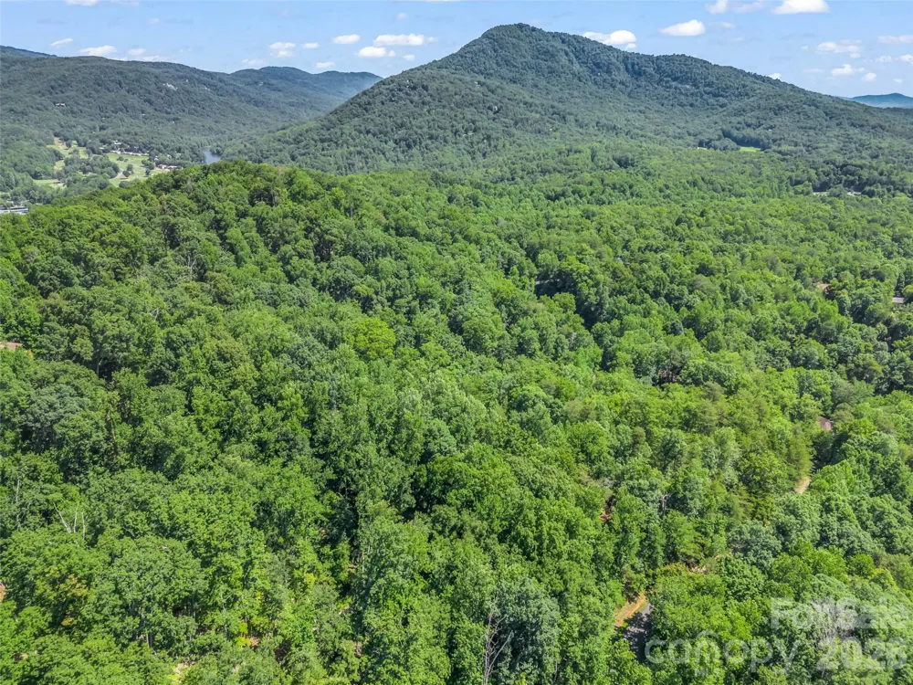 0 Hawks Nest Trail #31 Lake Lure, NC 28746