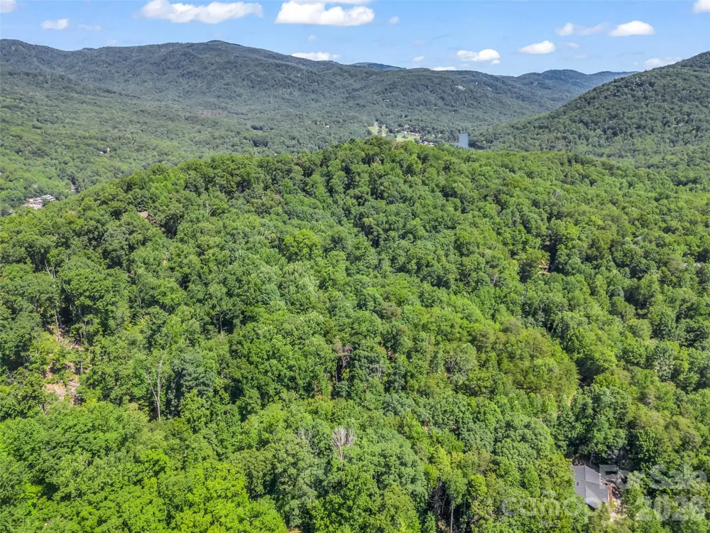 0 Hawks Nest Trail #31 Lake Lure, NC 28746