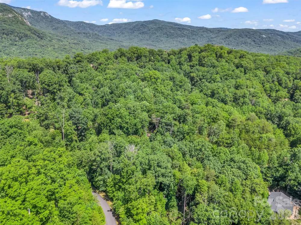 0 Hawks Nest Trail #31 Lake Lure, NC 28746