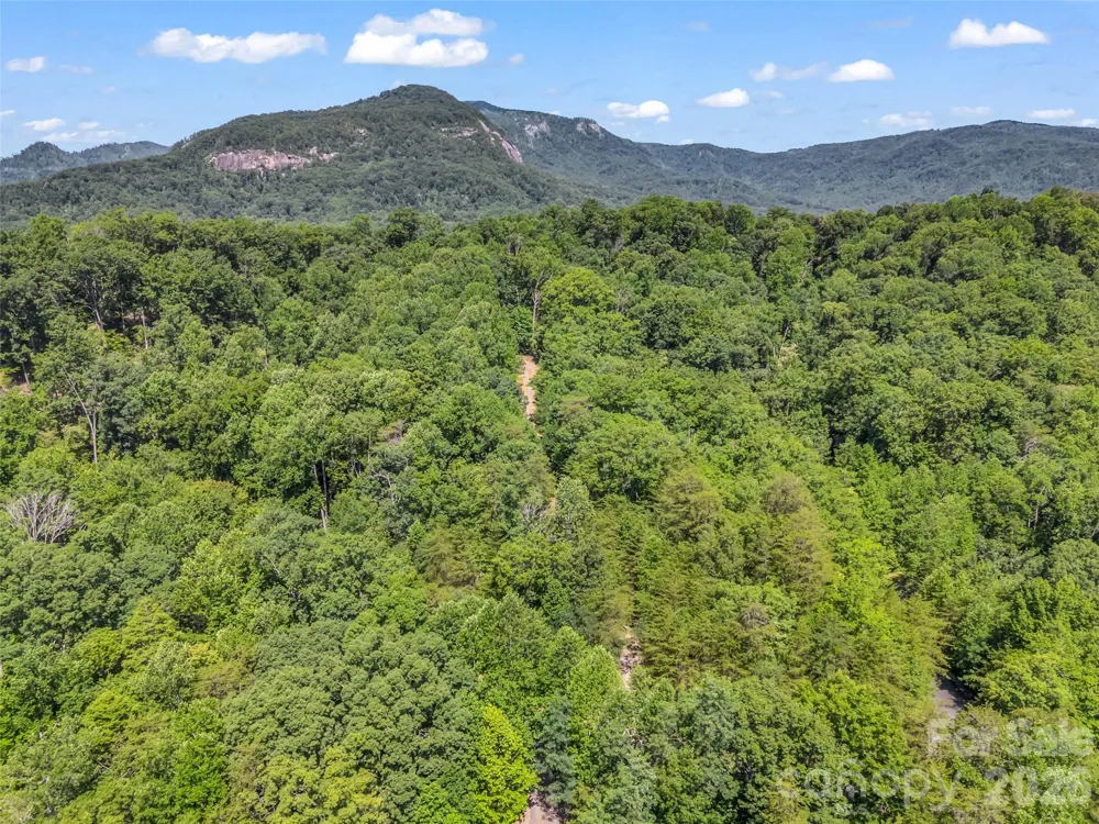 0 Hawks Nest Trail #31 Lake Lure, NC 28746