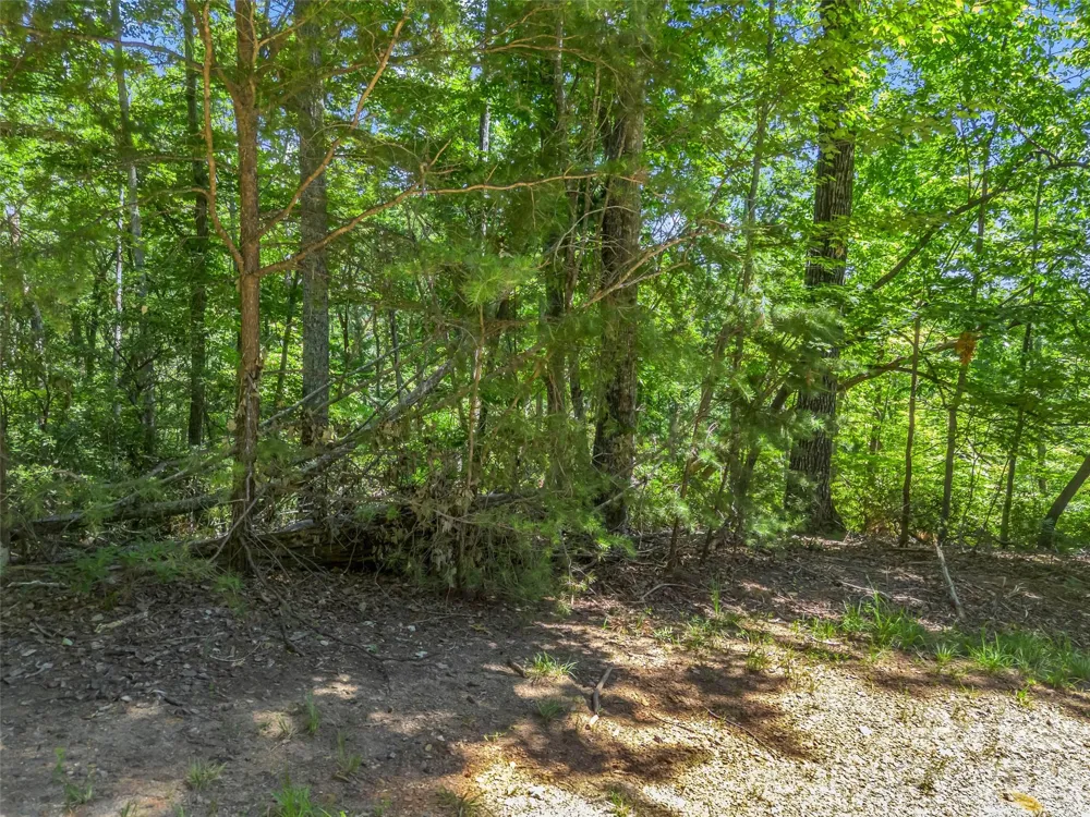 0 Hawks Nest Trail #31 Lake Lure, NC 28746