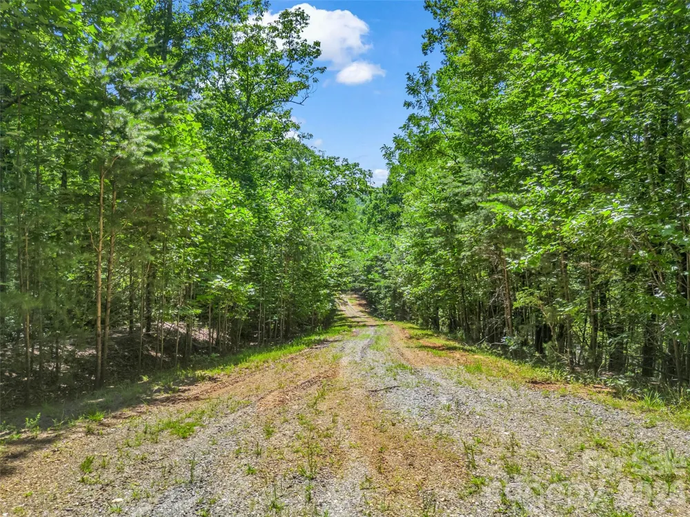 0 Hawks Nest Trail #31 Lake Lure, NC 28746