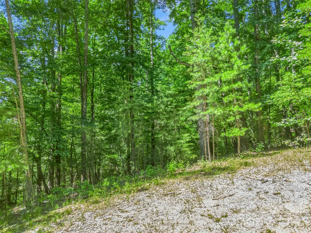 0 Hawks Nest Trail #31 Lake Lure, NC 28746