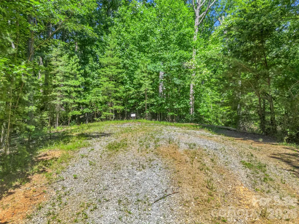 0 Hawks Nest Trail #31 Lake Lure, NC 28746