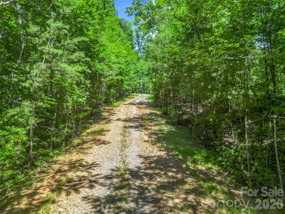 0 Hawks Nest Trail #31 Lake Lure, NC 28746