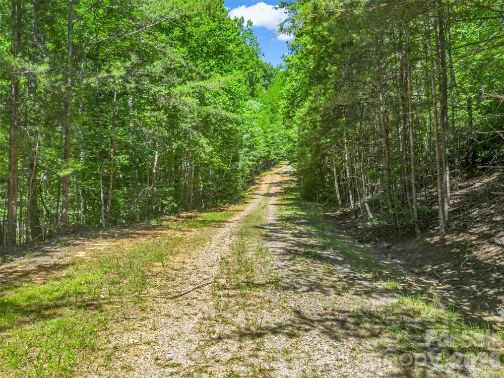 0 Hawks Nest Trail #31 Lake Lure, NC 28746