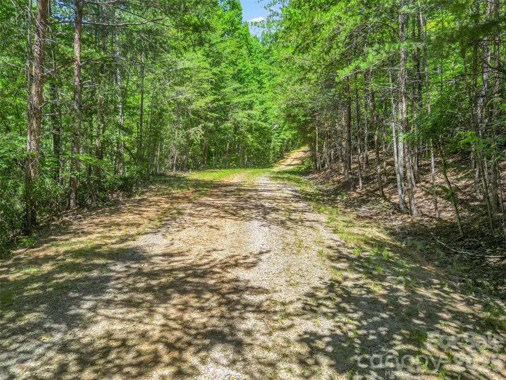 0 Hawks Nest Trail #31 Lake Lure, NC 28746