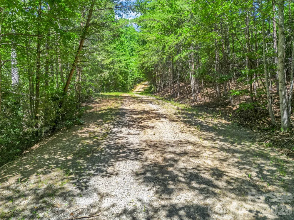 0 Hawks Nest Trail #31 Lake Lure, NC 28746
