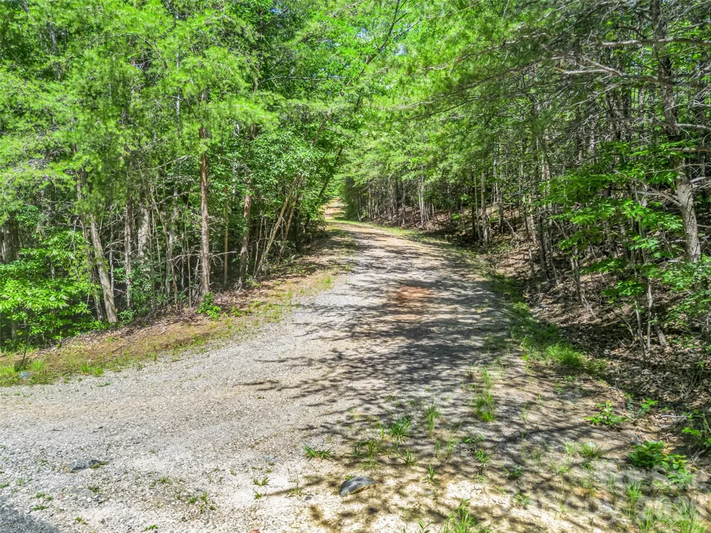 0 Hawks Nest Trail #31 Lake Lure, NC 28746