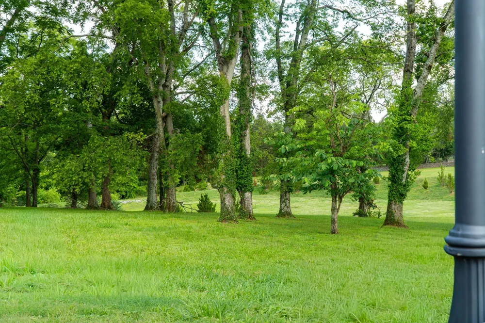 9237 Nina Ct Brentwood, TN 37027