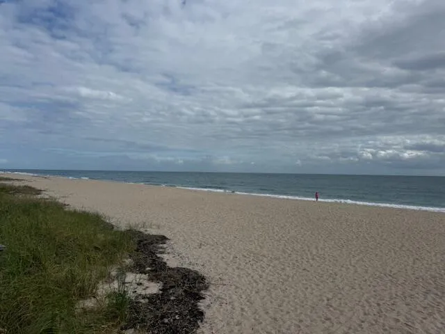 5520 Ocean Boulevard #111 Ocean Ridge, FL 33435
