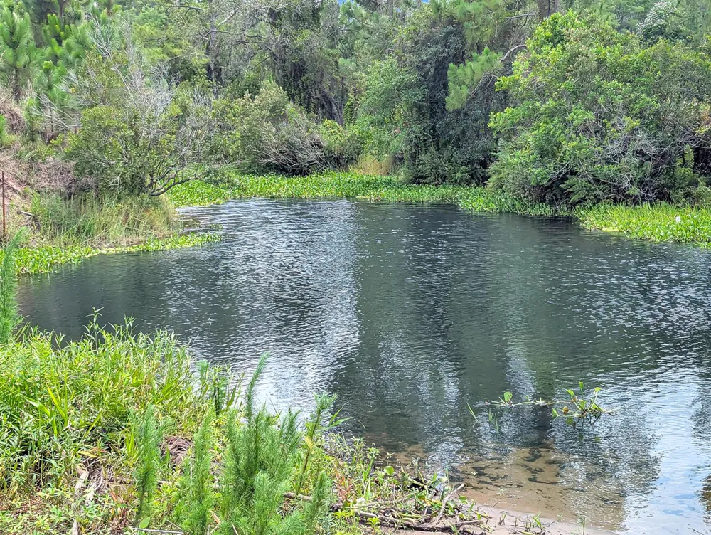 Holopaw Groves Road 