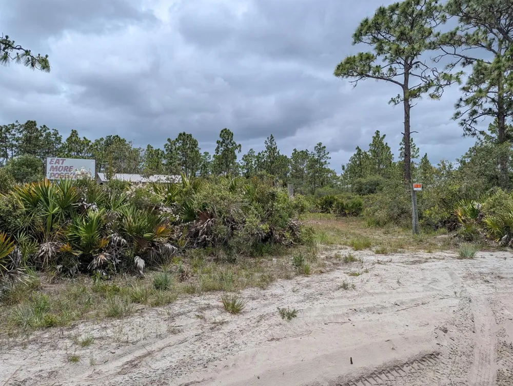 Holopaw Groves Road 