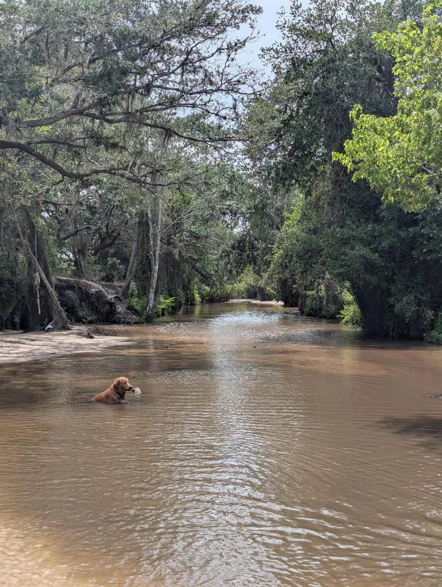 Holopaw Groves Road 