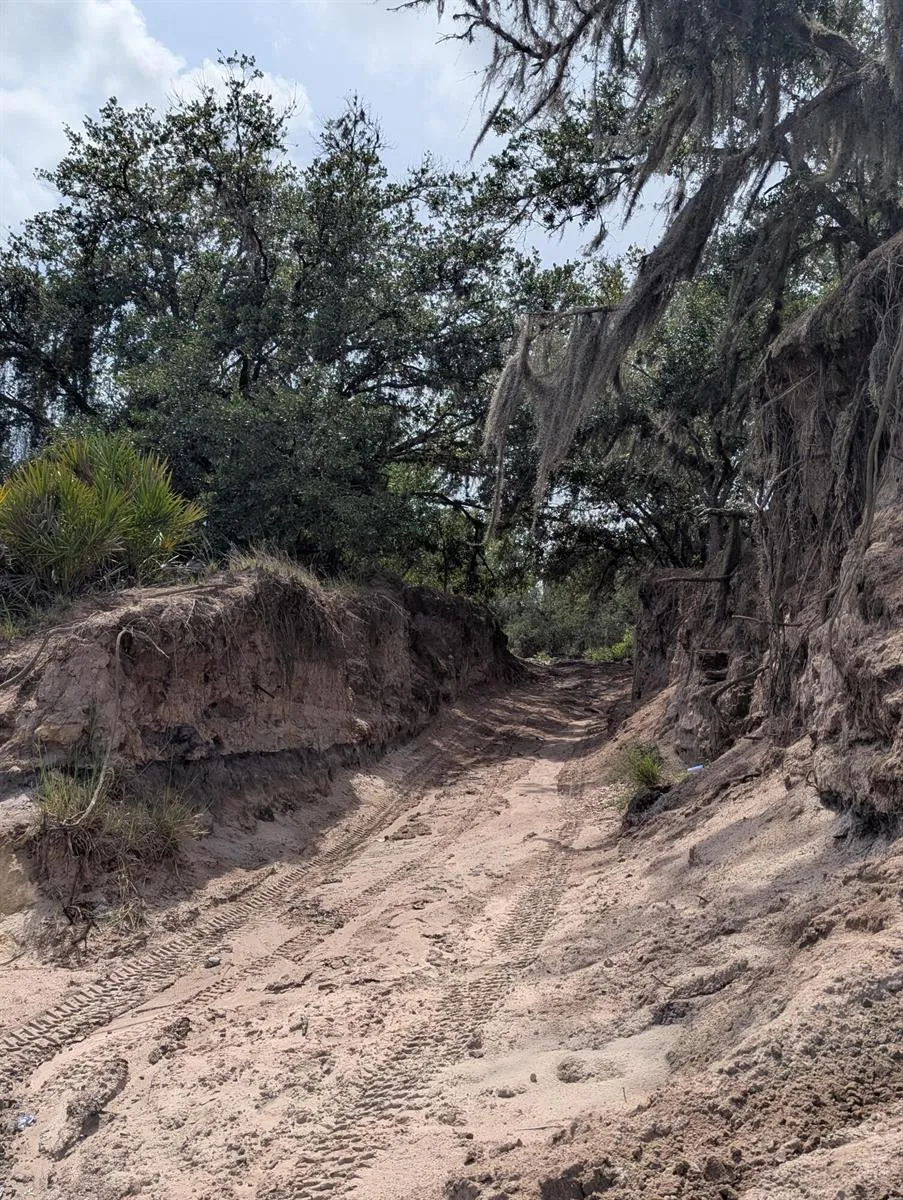 Holopaw Groves Road 