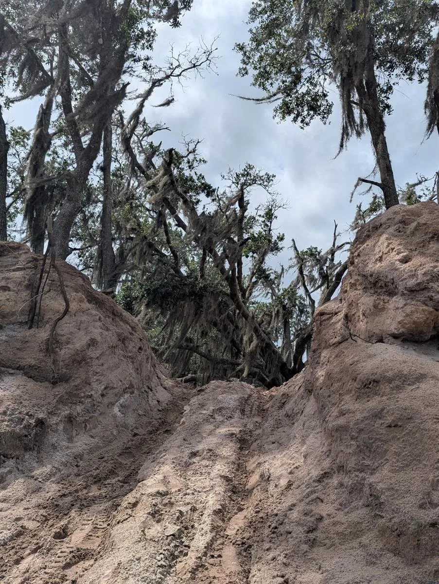 Holopaw Groves Road 