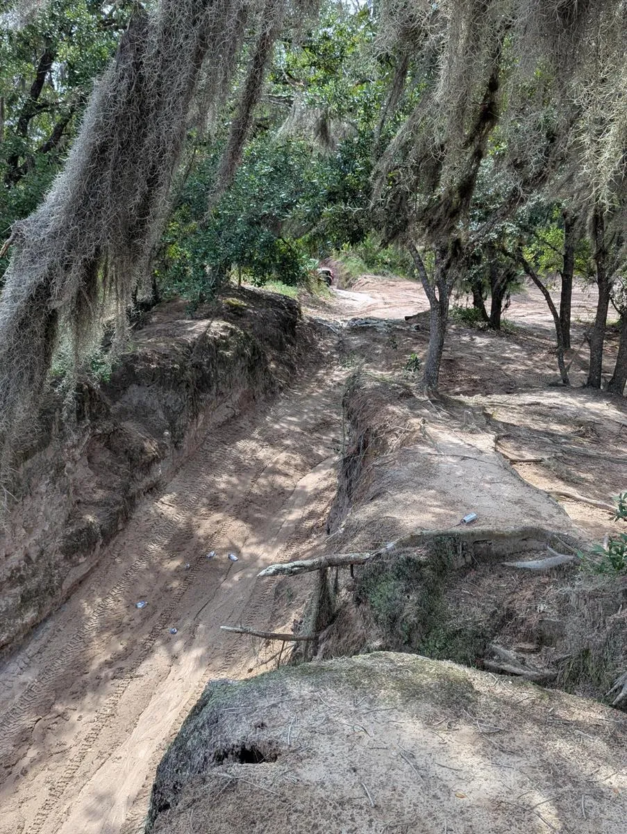 Holopaw Groves Road 