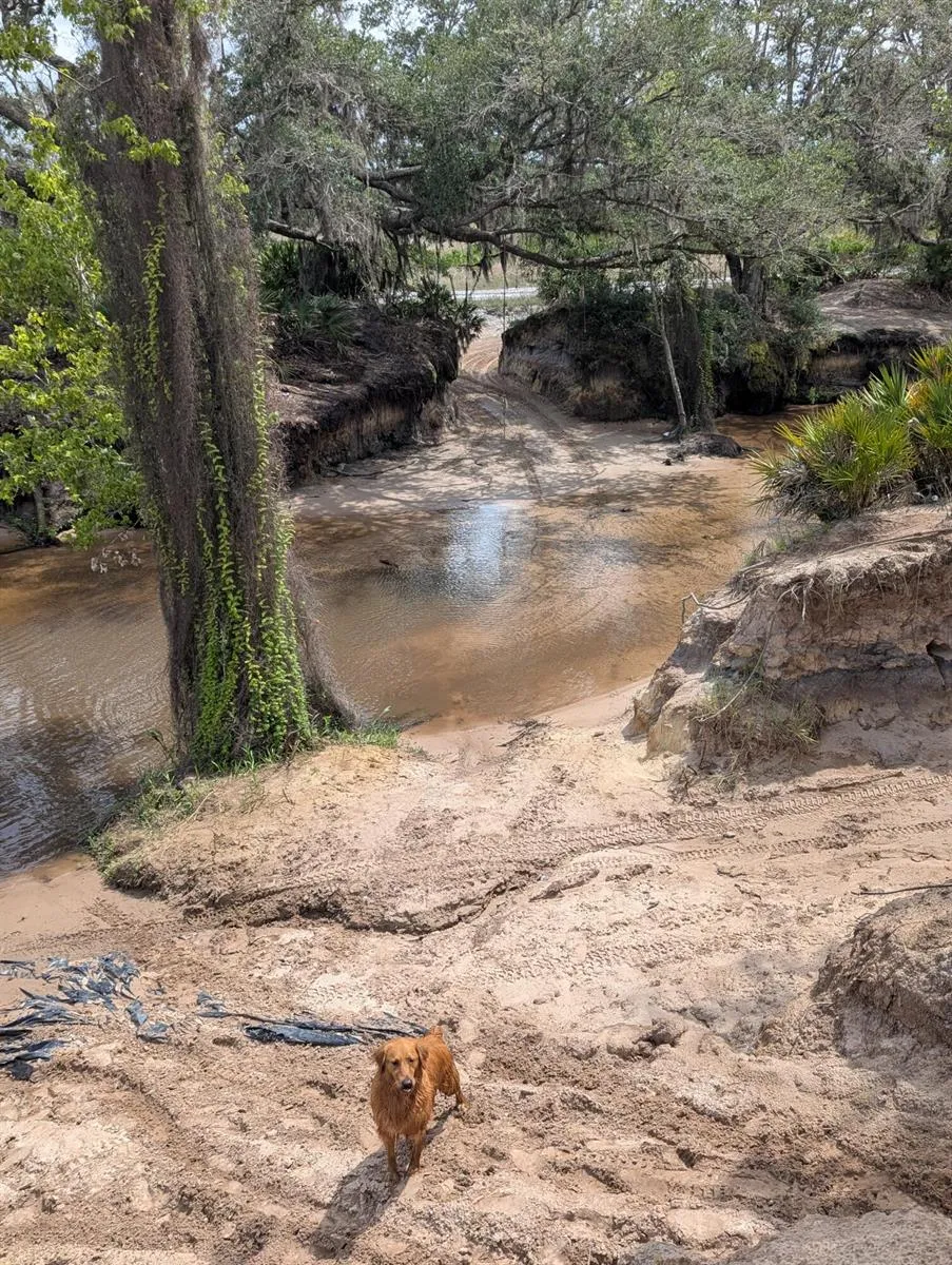 Holopaw Groves Road 