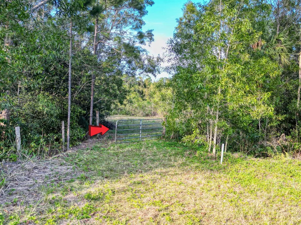 9205 Patricia Lane Jupiter, FL 33478