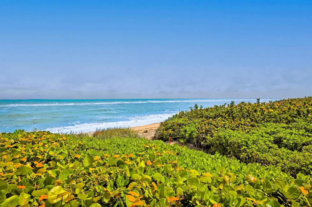 420 Celestial Way #204 Juno Beach, FL 33408