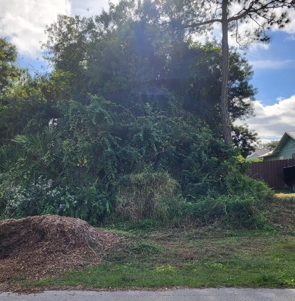 2338 SW Fern Circle Port St. Lucie, FL 34953