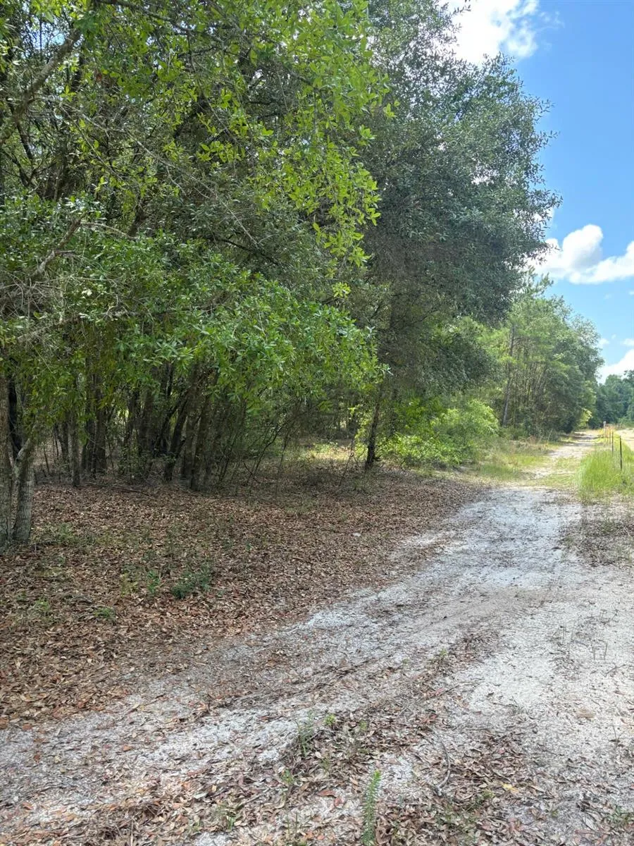 423 NW Bright Lake Court 
