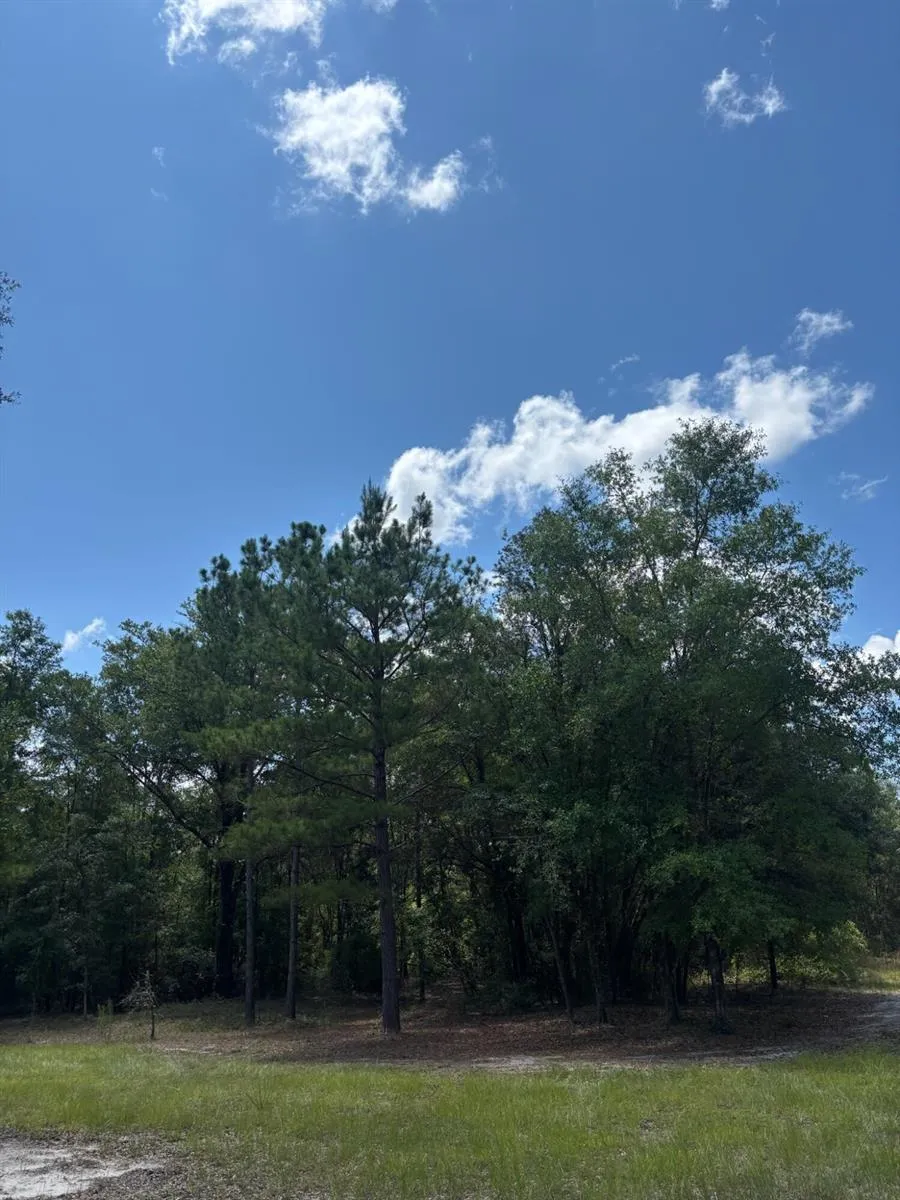 423 NW Bright Lake Court 