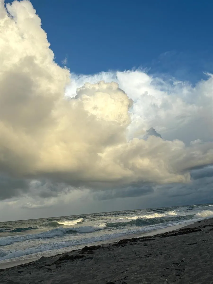 9900 S Ocean Drive #1 Jensen Beach, FL 34957