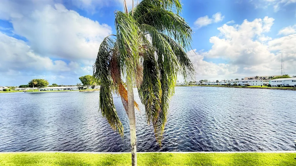 1114 Lake Terrace #205 Boynton Beach, FL 33426