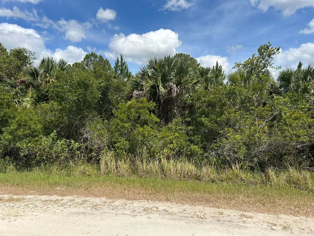 608 SW Lynn St Street Palm Bay, FL 32908