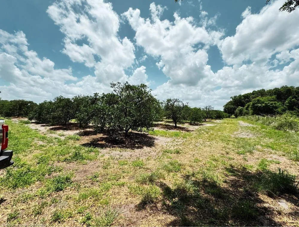 115 Heinley Road Lake Placid, FL 33852