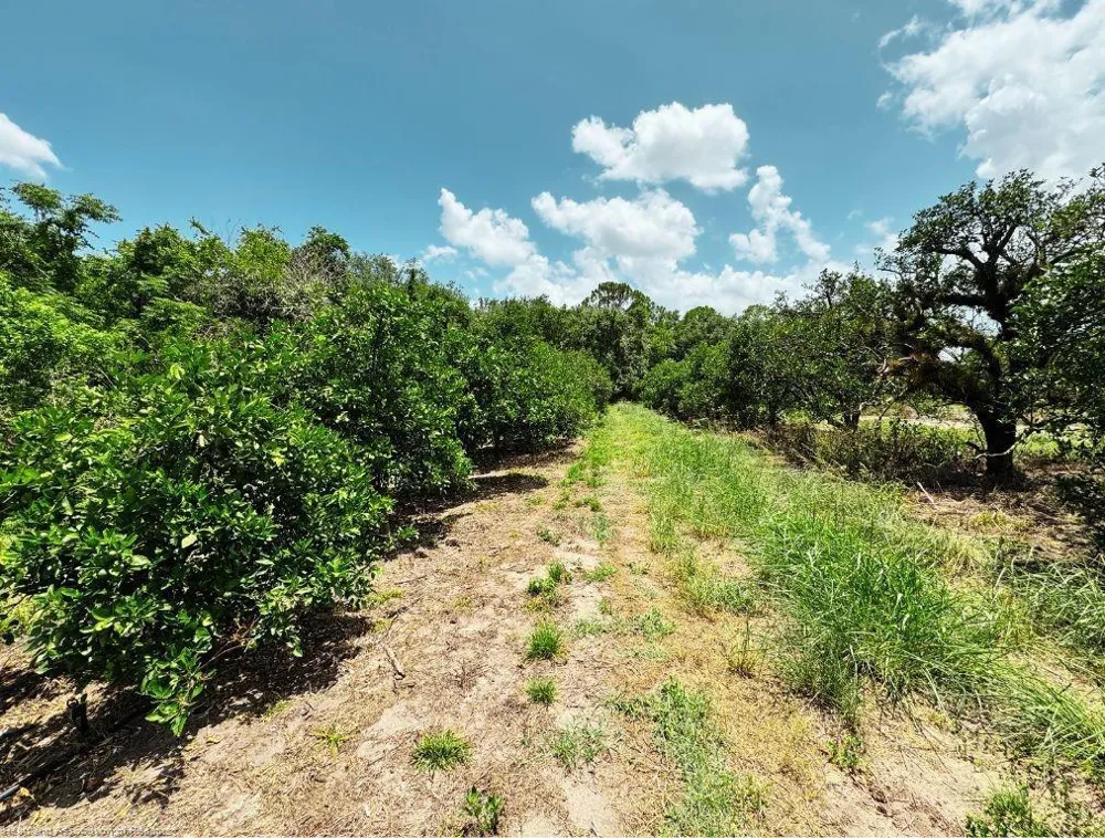 115 Heinley Road Lake Placid, FL 33852