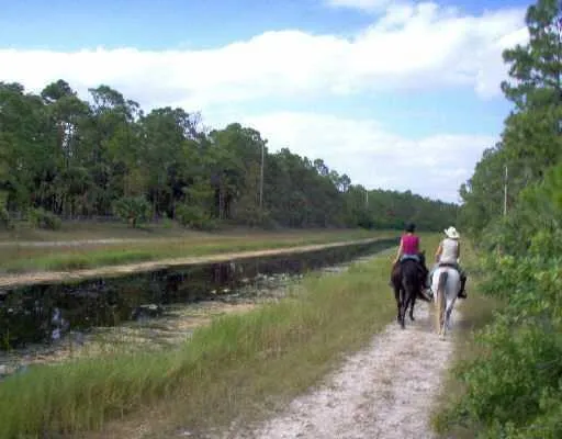 1340 Arabian Drive Loxahatchee, FL 33470