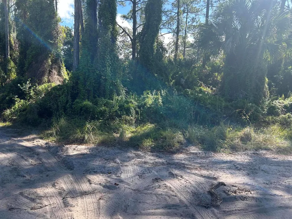 Slash Pine Trail Fort Pierce, FL 34945