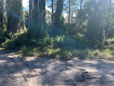 Slash Pine Trail