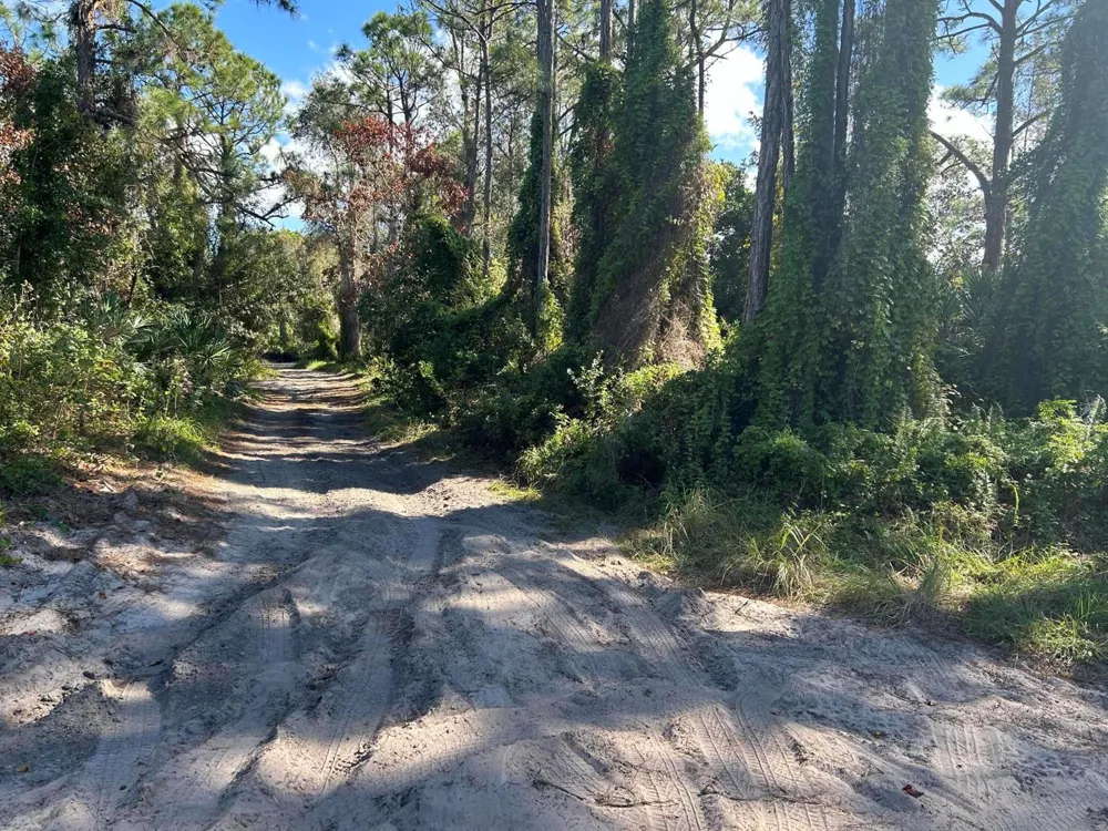 Slash Pine Trail Fort Pierce, FL 34945