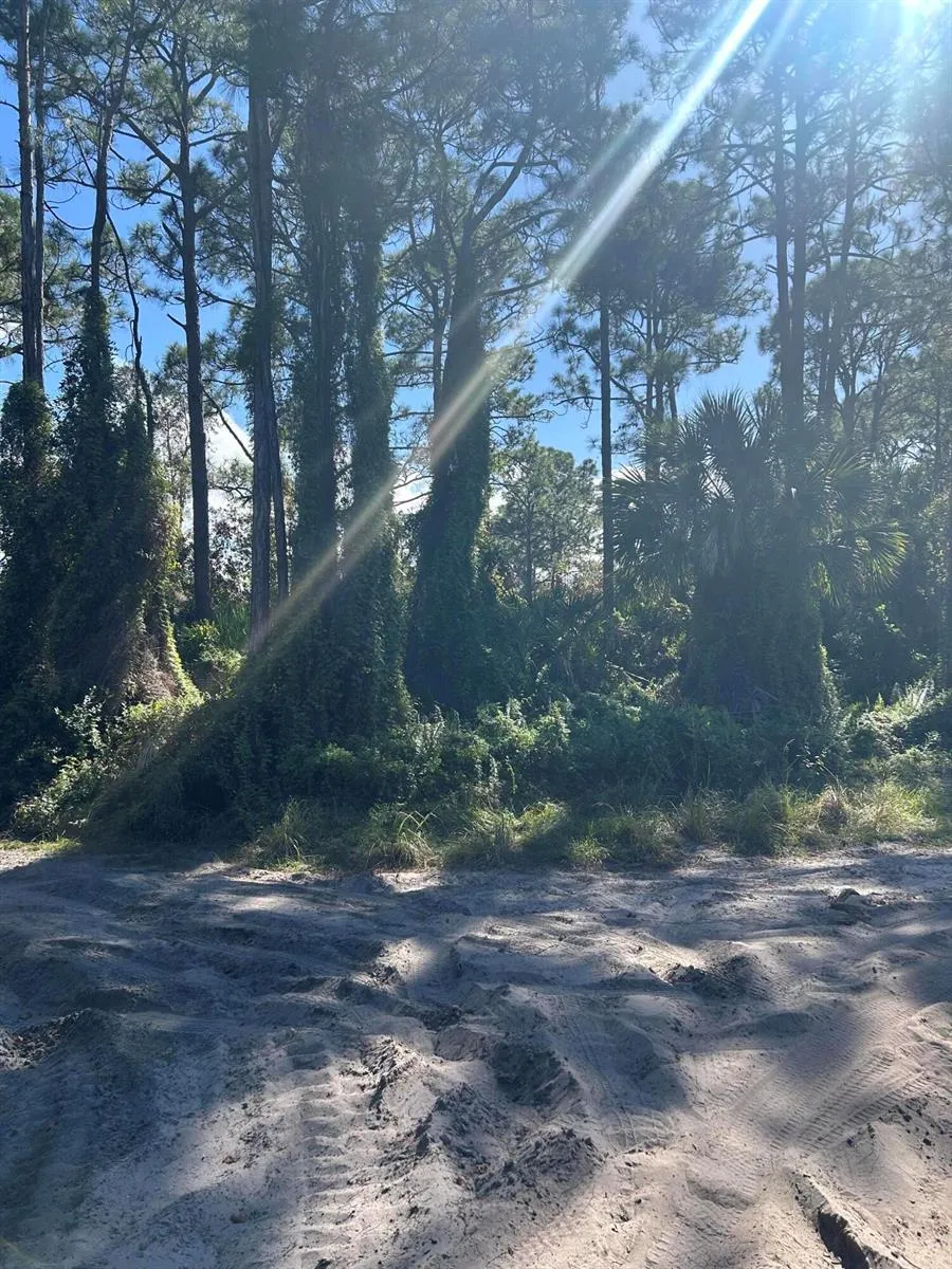 Slash Pine Trail Fort Pierce, FL 34945