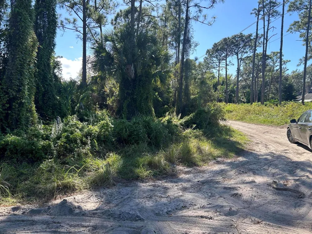 Slash Pine Trail Fort Pierce, FL 34945
