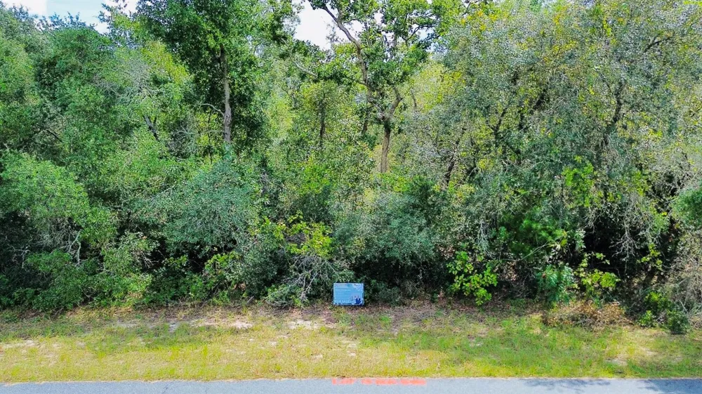 SW 37th Avenue ocala, FL 34473