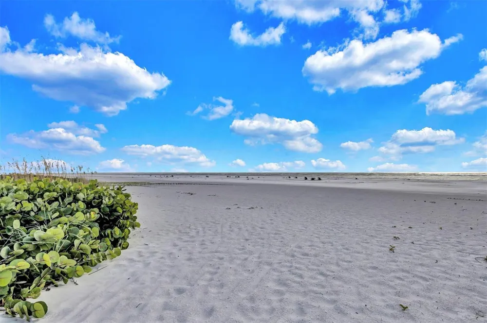 7125 Gulf Of Mexico #22 