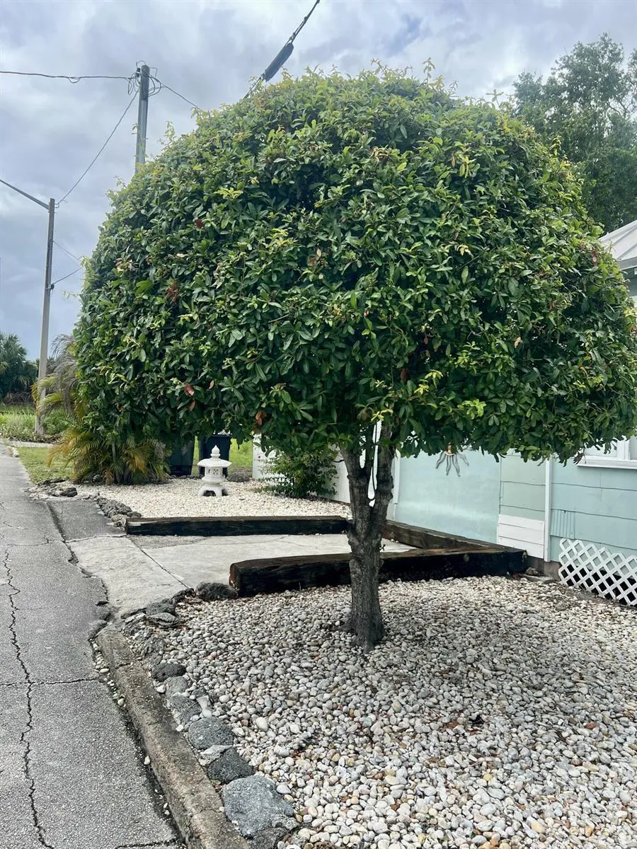 208 Avenue E Fort Pierce, FL 34950