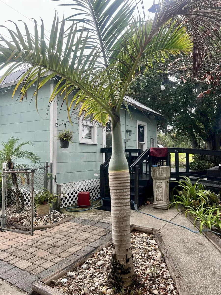 208 Avenue E Fort Pierce, FL 34950